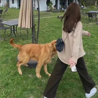 迪林杰